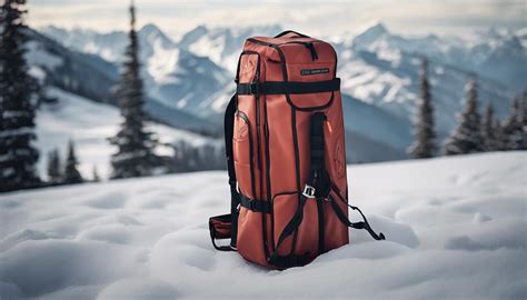 best double ski bag|double ski bags clearance.